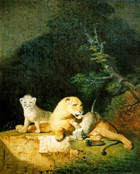 Toile Nordique Lionne et ses petits Agasse 60x90cm pour chambre