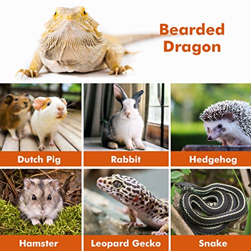 LIKZINWA Bearded Dragon Lizard Leash Harness,4 Size Pack Adjustable Small Animal Harness for Reptile and Small pet (Brown)