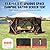 VEVOR Pop Up Gazebo Screen Tent 6 Sided Canopy Sun Shelter with 6 Removable Privacy Wind Cloths & Mesh Windows, 11.5x11.5FT Quick Set Screen Tent with Mosquito Netting, Brown