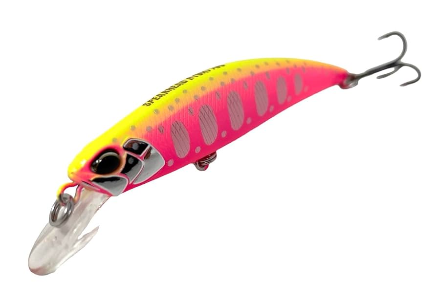 Amazon | DUO(デュオ) ミノー スピアヘッドリュウキ 70S・71S