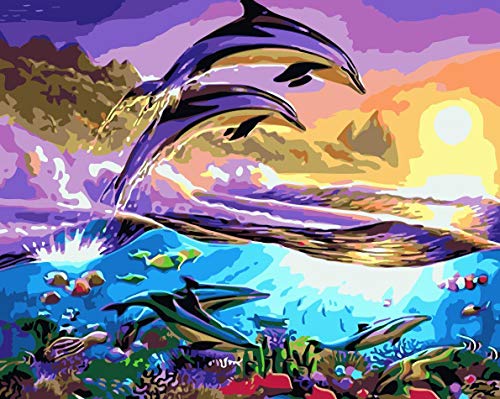Newsight Paint by Numbers for Adults & Kids & Beginners DIY Acrylic Painting Gift Kits Drawing Paintwork with Paintbrushes 1620inch Dophin Family