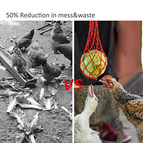 Chicken Vegetable Hanging Feeder Chicken Toys in Coop Veggies Holder Feeding for Poultry, Hens, Duck