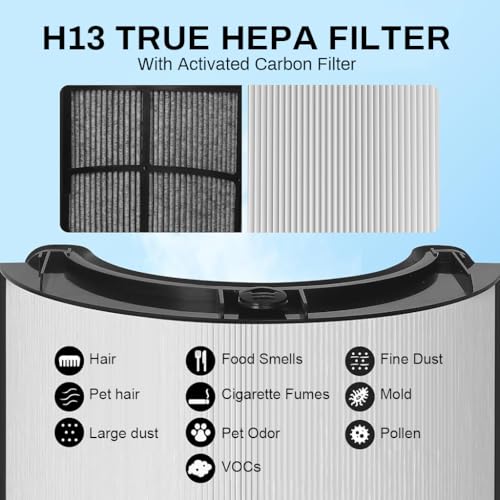 Image of HASTHIP 2 in 1 Dy*Son Air Purifier Filter for PH01 (HP /TP-07 /10 /09 /06, PH01 /07 /10), True HEPA Filter Replacement Dy*Son Filter with Intergrated Activated Carbon Filter Universal Dual Functionality