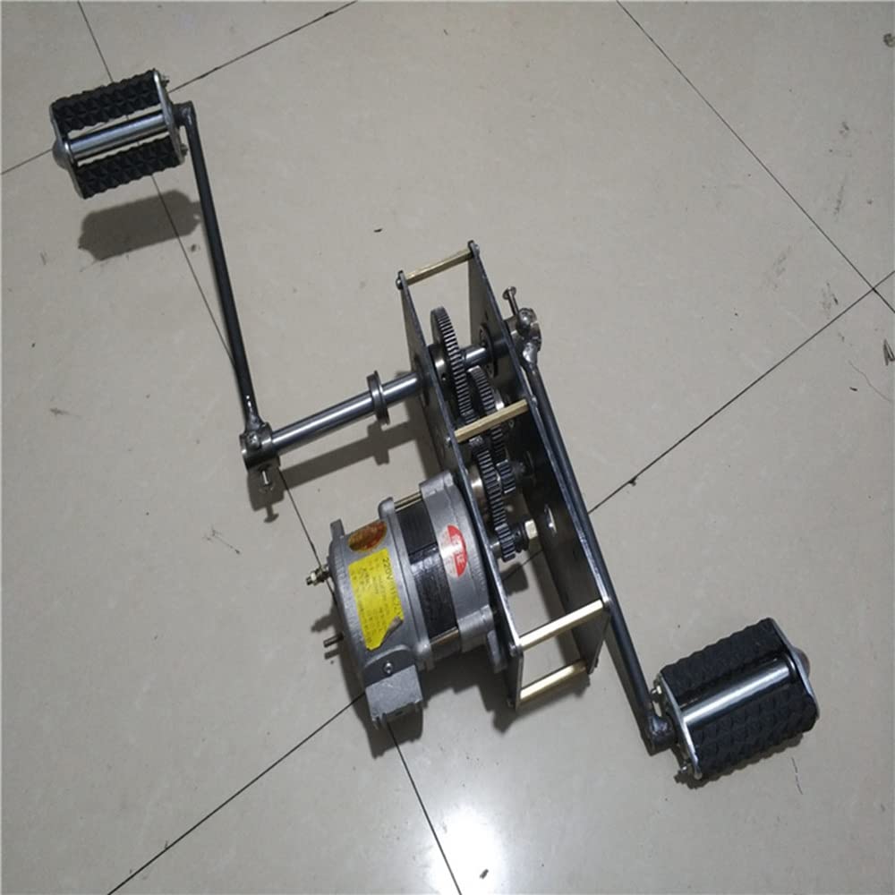 Buy 800W/2000W AC Permanent Brushless Highpower Pedal Generator