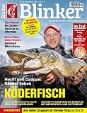 Blinker