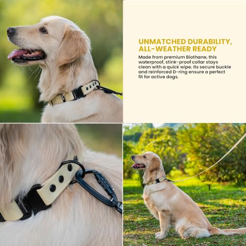 Image of Adil's Biothane Waterproof Dog Collar, Dog Leash & Collar Leash Combo | Heavy Duty TPU Coated Webbing | Adjustable Quick Release Buckle | Odour Resistant (Lemon White, L-22, Collar only)