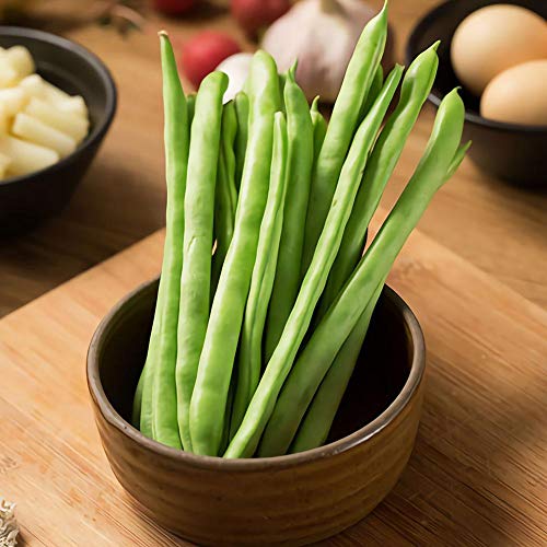 A Pack of 50pcs Green Beans