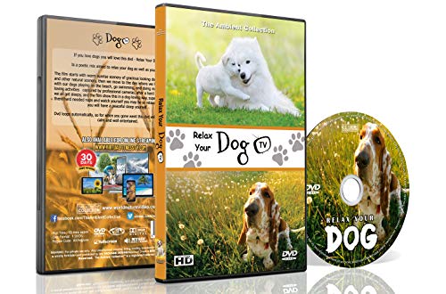 DVD für Hunde zum Anschauen - Entspannende Hundevideos - Entspannen sie Ihre Hunde mit supersüßen Hunden in natürlicher Landschaft von Stränden bis Schnee, um Ihren Hund zu beruhigen