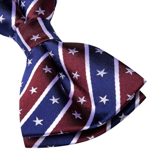 Image of Dubulle Mens Paisley Striped Bowtie Set Pre-tied Bowtie for Men and Pocket Square Set Wedding Business
