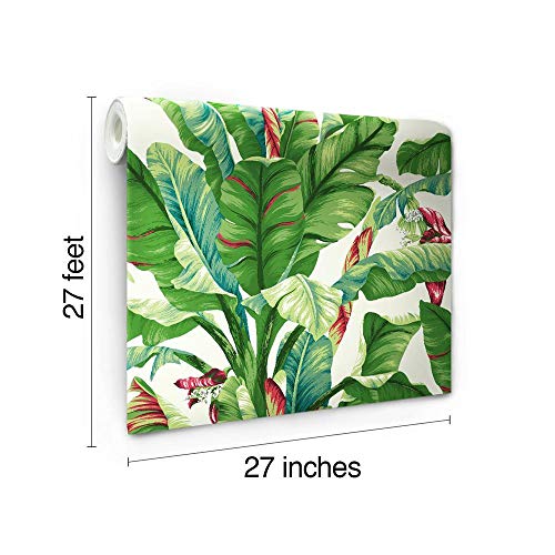 York Wallcoverings Tropics Banana Leaf Removable Wallpaper, Green #TOP6