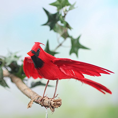 置物  Birds Red Cardinal Vintage 7