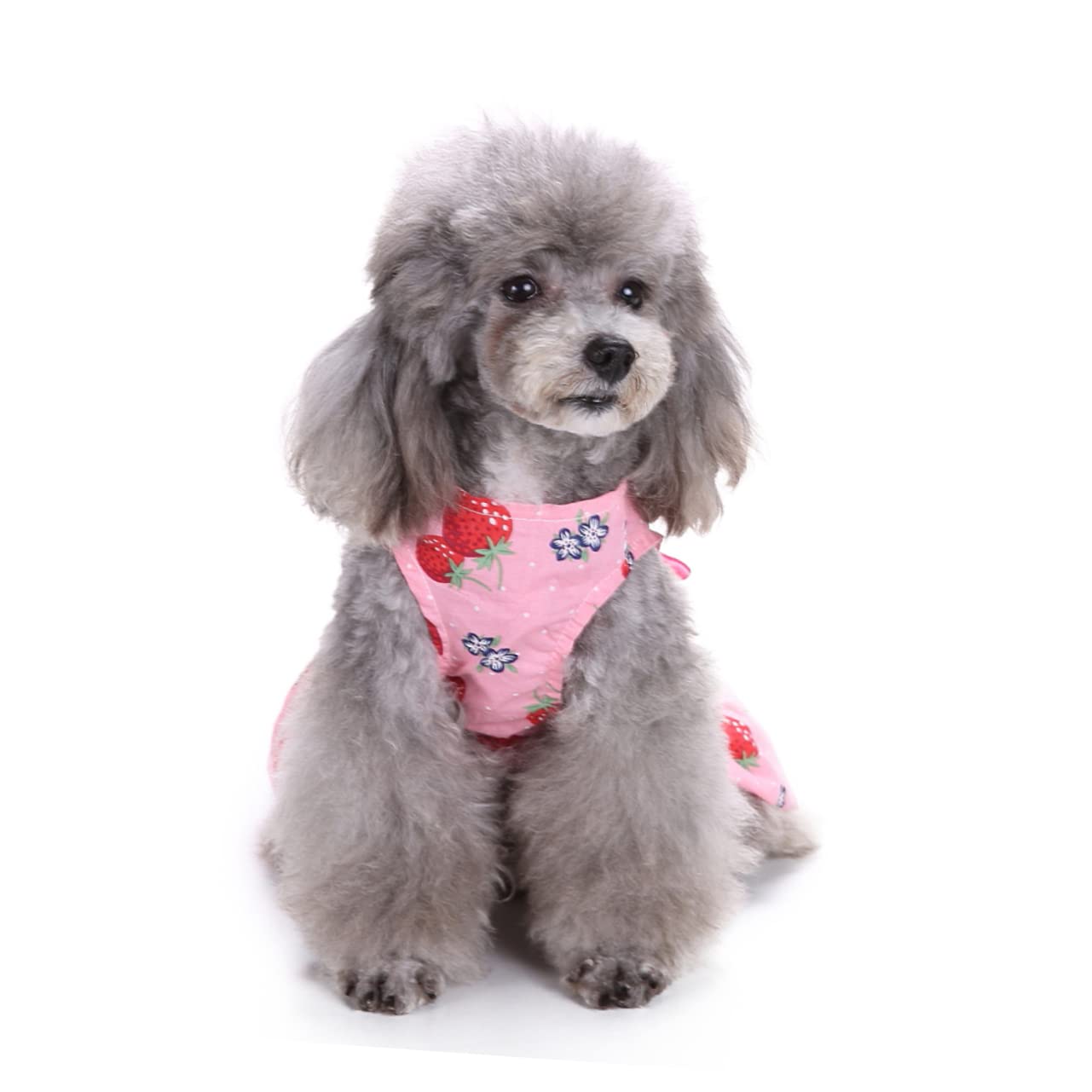 BESPORTBLE 3stücke Pet Dog Dress Mit Schleife Ärmelloses Kleid Für Hunde Charmantes Design Erdbeergröße Für Alltag Feiertage Und Fotoshootings