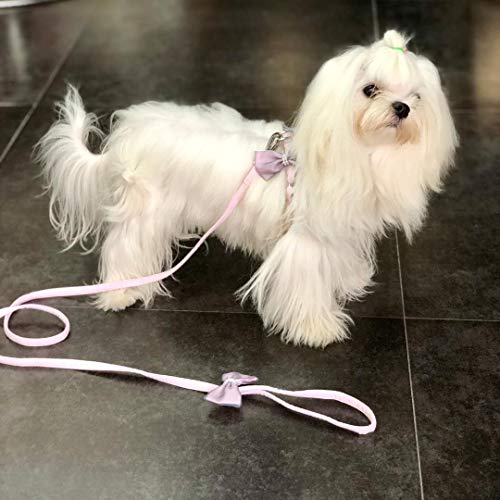 最安値 Pincool ハーネス リード セット 超小型犬 小型犬用ハーネス 胴輪 軽量 1 5 6kgs 散歩 が楽し二重蝶結び飾り 簡単脱着式 調節可能 ピンク Xsの価格比較