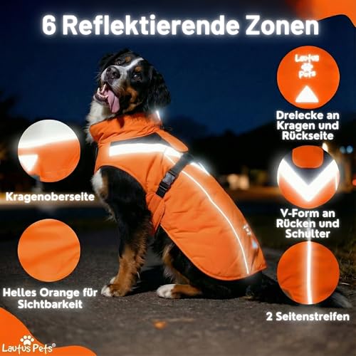 Lautus Pets Wasserdichter Hunderegenmantel, reflektierenden Sicherheitsstreifen & Leinenöffnung – Leichte, Jacke für mittelgroße Hunde - M, Orange