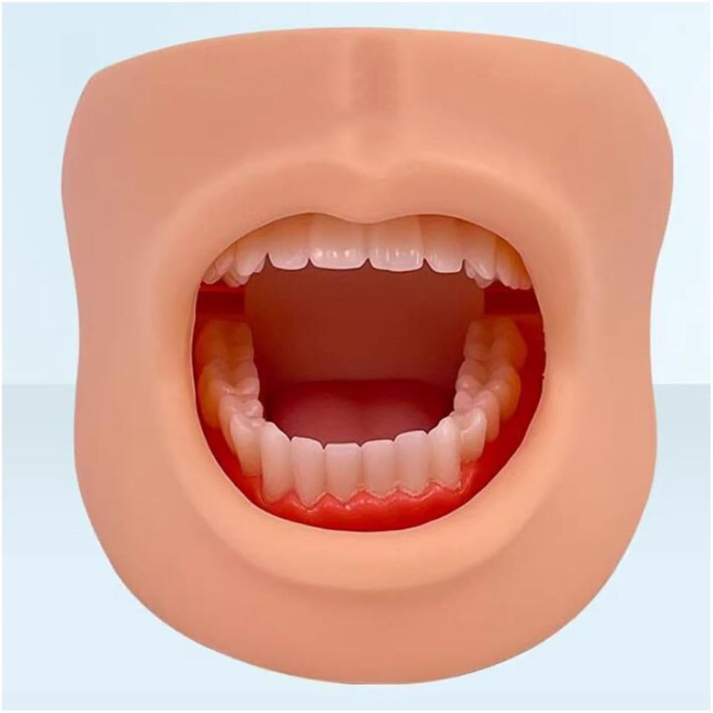 Modello di cura dentale per denti e lingua, strumento didattico per la salute dentale delle guance, modello dimostrativo per l'educazione all'igiene orale