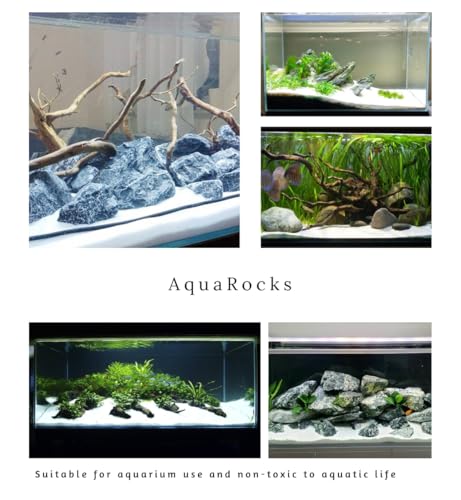 Image of Premium Natural White Aquarium Sand (1.8 kg Pack) | Decorative White Sand for Fish Tanks, Terrariums, Aquascaping & Reptile Habitats