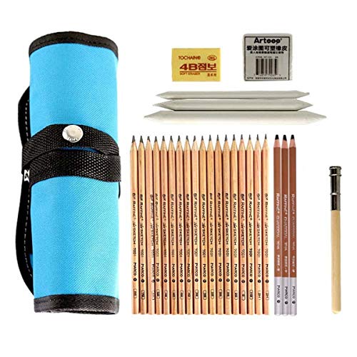 NEEVAS 29 Pcs Sketch and Drawing Charcoal Pencil Set Sketching Kit Art Supplies Novelty (Blue)