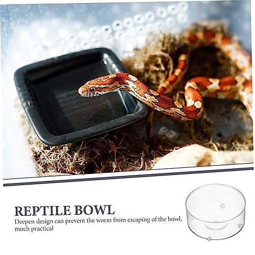 Gobelet transparent pour reptiles Yardwe antirenversement - 8