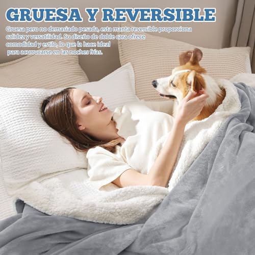 Opiniones y reviews de Cobertores , tabla con los diez mejores. 11 Imagen adicional