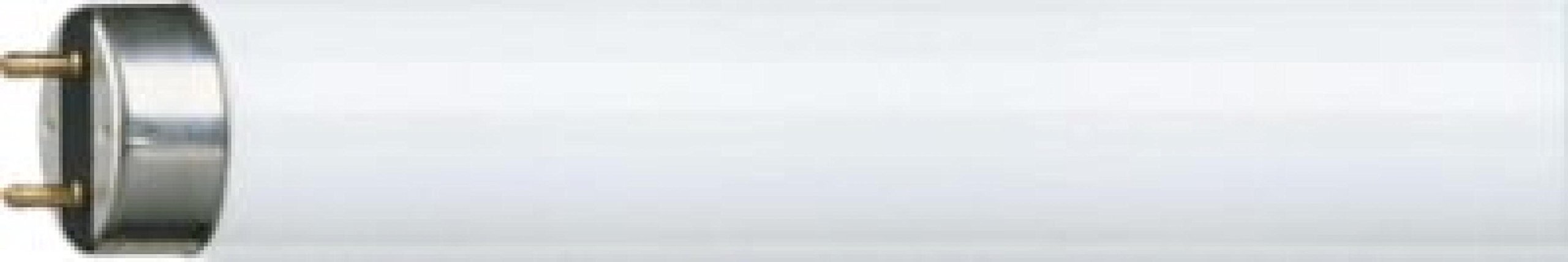 Philips TL-D 840 - Lámpara fluorescente (25 unidades, 58 W)