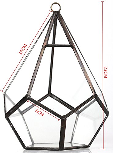 Piccolo vaso moderno, trasparente, artistico, da