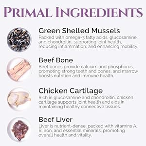   Hip-Bone-Joint-Premium-Dog-Bone-Joint-Supplement-Enhanced-Canine-Mobility-and-Recovery-Grass-Fed-Beef-Bone-Green-Mussel-Chicken-Cartilage-Heart-of-The-Canine-6oz