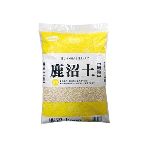 TAhz[v y ח 2L Ppy ʋCEې } ܂ɍœK