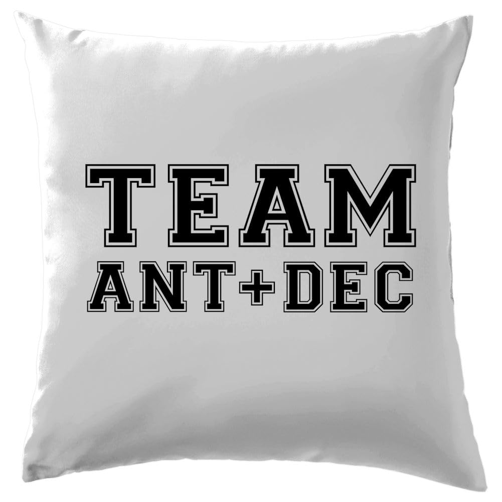 Team Ant And Dec - Cushion/Pillow (with Insert) - 41 x 41cm (16)" - White - One Size