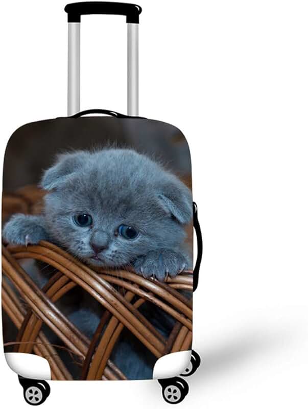 Suitcase Covers Amazon.co.uk