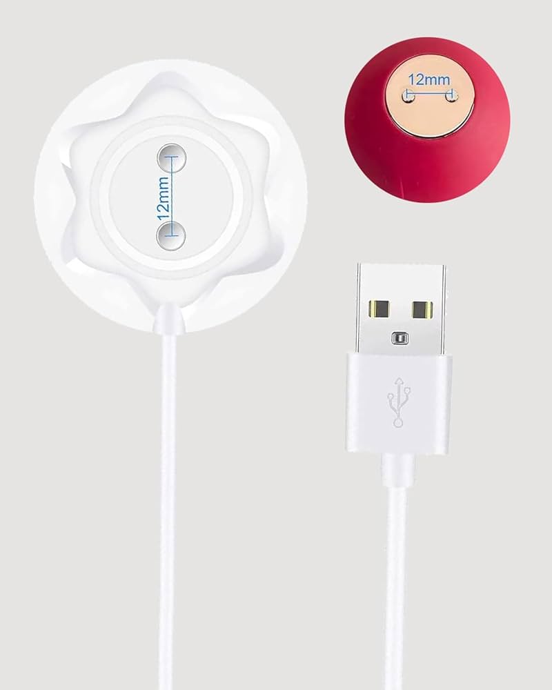ELECTRIC GOGGLE　CHARGER ROSE Amazon.com: Rose Charger - Magnetic Charger Replacement