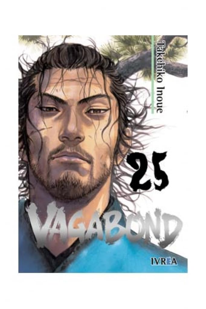 Vagabond 25
