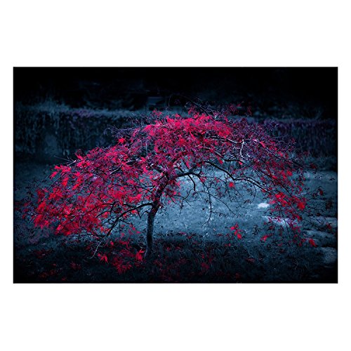 Affiche Nature Arbre aux Feuilles Pourpres 91x135cm