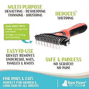 Raw Paws Undercoat Rake Dematting Tool 1 Ct 2side Undercoat Rake for Dogs Cats Dog Rake Brush for Shedding Dematting Tool for Dogs Cat Brush for Shedding Cat Dog Grooming Rake Cucciolini Doodles Raw paws undercoat rake dematting tool 1 ct 2 side undercoat rake for dogs cats dog rake brush for shedding dematting tool for dogs cat brush for shedding cat dog grooming rake cucciolini doodles