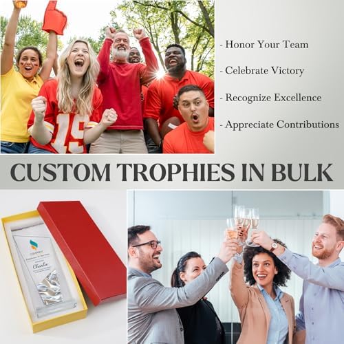 Personalized Crystal Trophy Award - Custom Plaque Award with Text Logo Photo - Employee Recognition Awards and Trophies - Corporate, Sports, Academic Events, Retirement, Thank You Gifts (Silver) — view 6