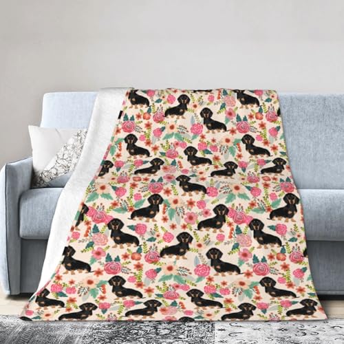 Aj y uPbg tl _bNXtĝ킢ԕ_bNXtg 􂦂 ÓdCh~ ѕz g _炩 ӂӂ GARuPbg lGKp ItBX s o ԓ Lv [΍ 125×150cm