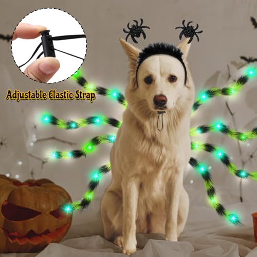 Disfraz de araña LED para perro mediano y grande Halloween miniatura 5