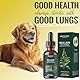 Mullein (Königskerze)-Blatt-Extrakt-Tropfen 60ml – Lungenreinigung für Haustiere, Atemwegsunterstützung für Hunde & Katzen – Fördert die Lungengesundheit, Lindert Halsschmerzen, Heiserkeit und Husten