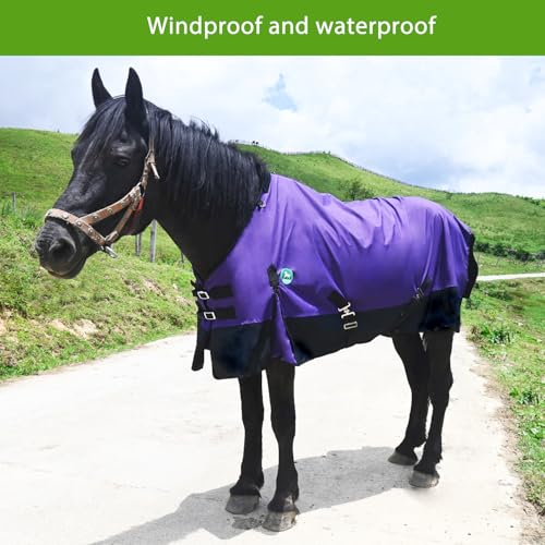 Image of Adjustable Waterproof Horse Sheet | Horse Blankets for Real Horses|Perfect Rainy Day Protection(66 inch, Purple)