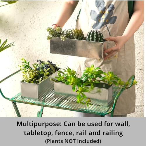 LaLaGreen-Wall-Planter-3-Pack-16-Inch-Large-Wall-Mount-Planters-for-Succulent-Silver-Rectangular-Metal-Hanging-Flower-Pot-Long-Window-Sill-Plant-Box-Railings-Herb-Indoor-Rustic-Farmhouse-Decor LaLaGreen Wall Planter 3 Pack 16 Inch Large Wall Mount Planters for Succulent Silver Rectangular Metal Hanging Flower Pot Long Window Sill Plant Box Railings Herb Indoor Rustic Farmhouse Decor