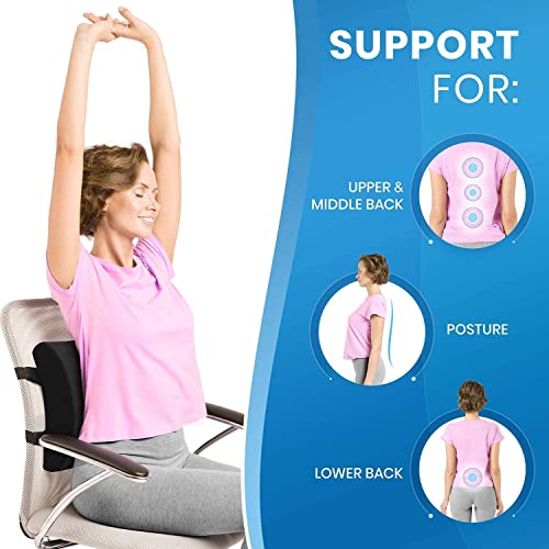 The 10 Best Everlasting Comfort Seat Cushions of 2024 [Verified] Cherry Picks