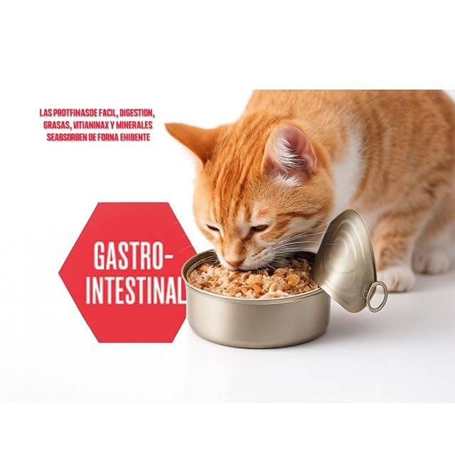 Foto 5 de 7 de ANIMALUJOS Latas para Gatos Schesir Multipack 3×80 g - Comida Húmeda en Caldo con Trocitos