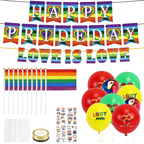 Meetory 53pcs Pride Flag Bunting, Rainbow Flag Gay Pride Accessories Set Inclued 10 Hand Flags, 2 Lesbian Bisexual Flag