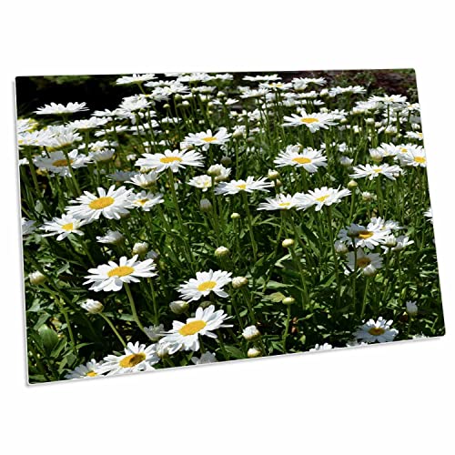 3dRose Patricia Sanders Flowers Desk Pad Daisy Field