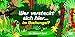 Wer versteckt sich hier im Dschungel? Ein Wimmel-Spiel