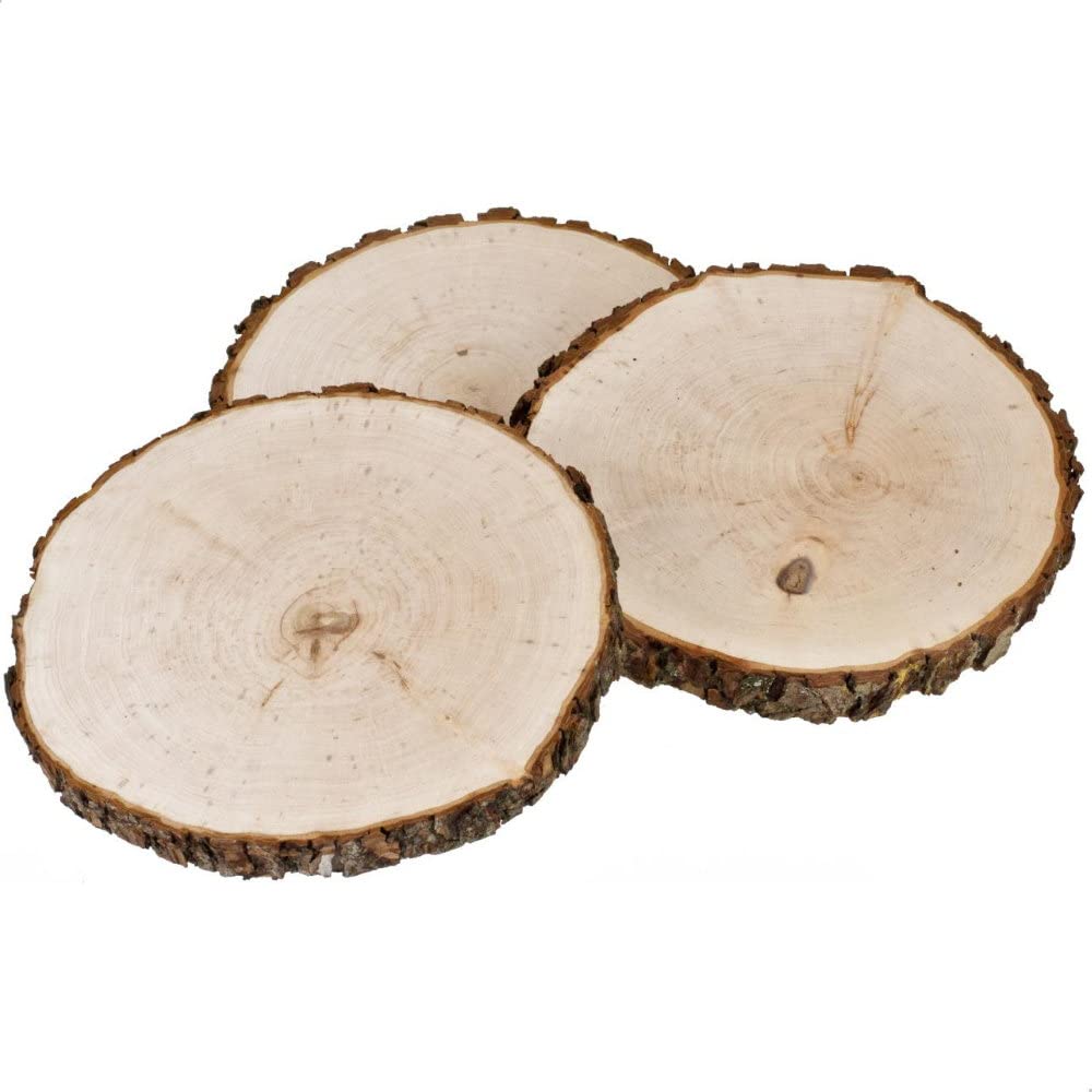 Baumscheibe 23cm mit Gravur (Namen) personalisiert, Familien Stammbaum/Lebensbaum, Holz Deko-Schild, Geschenk-Idee zu Geburtstagen/Weihnachten, Motiv D1