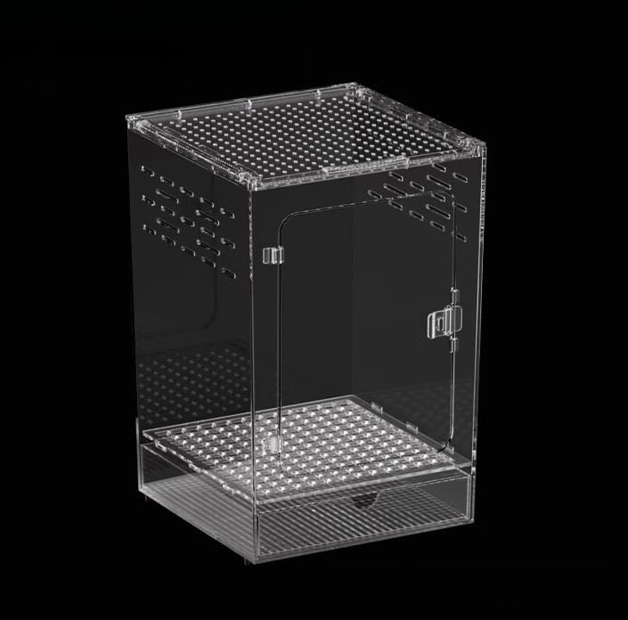 爬虫類　飼育セット Amazon | スドー レオパ 飼育 セット キット 爬虫類 ヤモリ