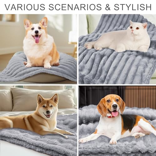 VAIGU:OA Hundedecke Katzendecke Waschbar, 4 Stück Decken Flanell Haustier Decke für Kleine Hunde Welpen Katzen, Flauschig Weiche Haustier Decke, Schutzdecke Hundesofa, 45x65 cm