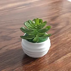 Mini plantas suculentas artificiais bonsai planta suculenta artificial vaso de mesa ornamentos de vegetação decoração de casa 5,5 x 8,5 cm (verde profundo)