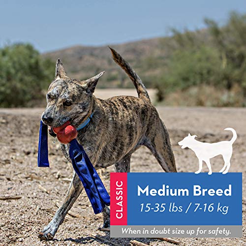 Brinquedo Cabo de Guerra Kong Tails Para Cães Tamanho:M