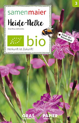 BIO Wildblumen - Heide-Nelke Samen - Rosa Blüten, 10-40 cm Höhe, Ausdauernd, Aussaat März bis Juli, Inhalt für ca. 15 Pflanzen - Samen Maier BIO Wildblumen - Heide-Nelke Samen - Rosa Blüten, 10-40 cm Höhe, Ausdauernd, Aussaat März bis Juli, Inhalt für ca. 15 Pflanzen - Samen Maier